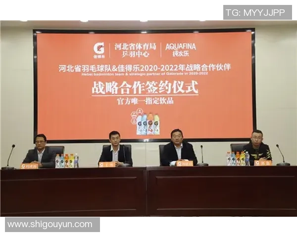 北京羽毛球队进攻战术解析与热点动态探讨